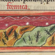 Illustration for article titled These Medieval Insects Might Give You The Creepy Crawlies